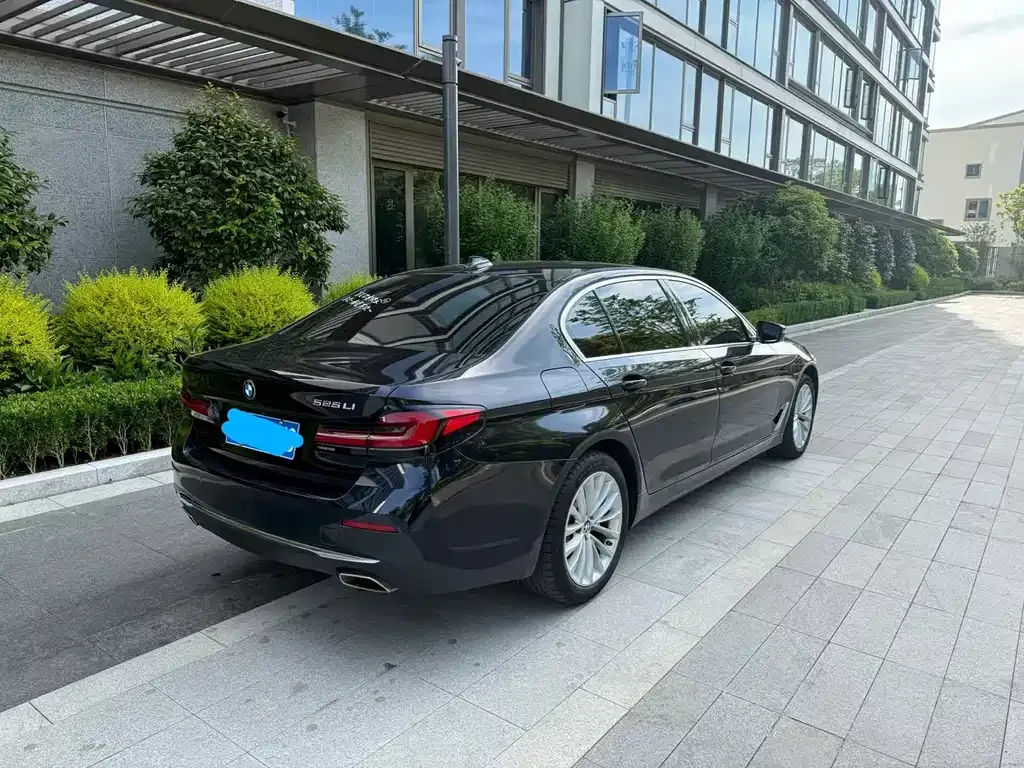 BMW 5 Series 2021 из CN, фото 6