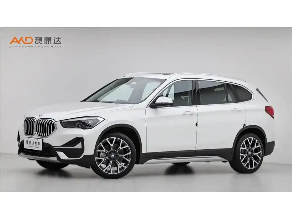 BMW X1 — фото 1