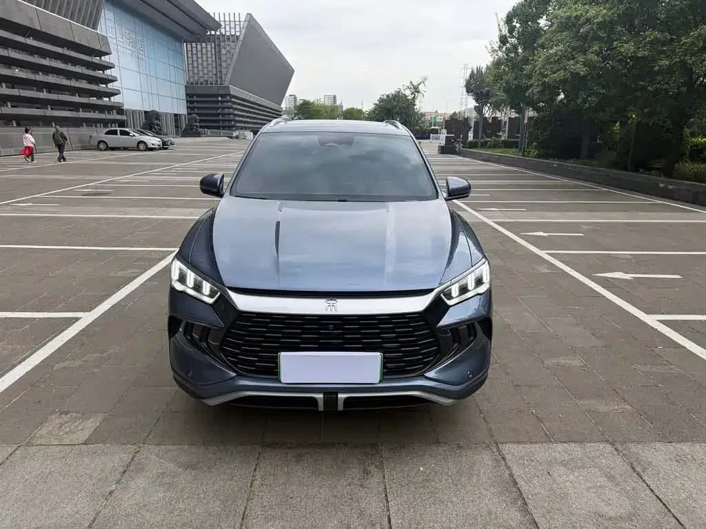 BYD Pro New Energy