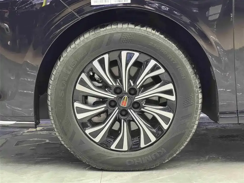 Hongqi HQ9 PHEV 2024 из CN, фото 5