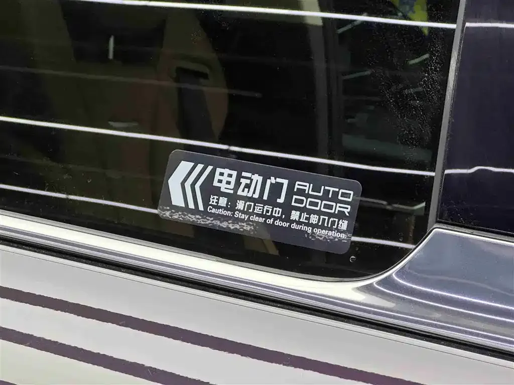 Hongqi HQ9 PHEV 2024 из CN, фото 2