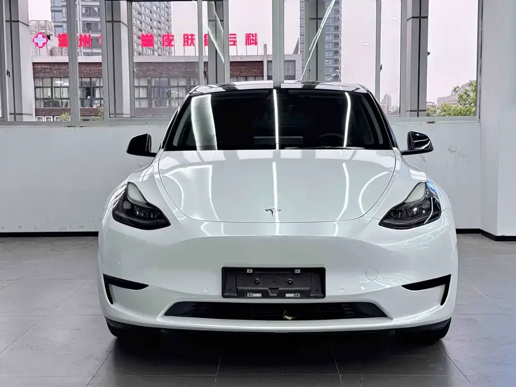 Tesla Model Y — фото 2