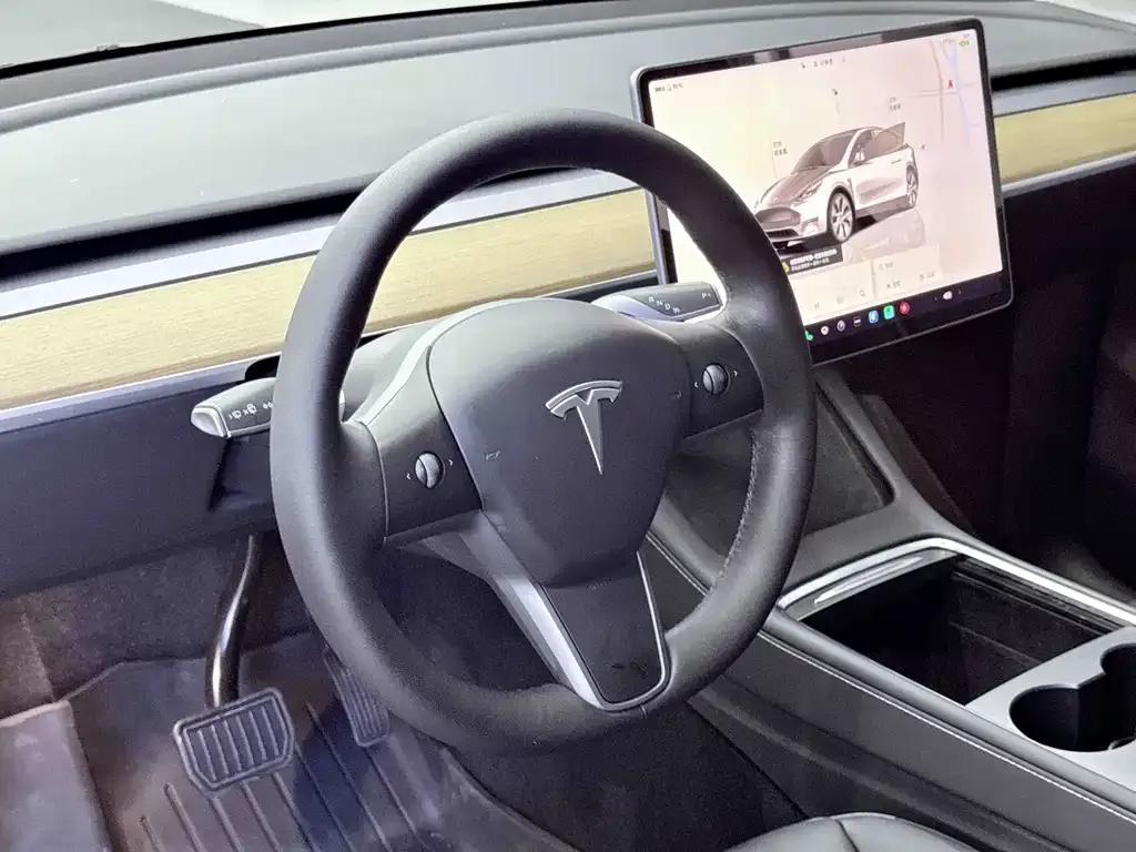 Tesla Model Y — фото 10