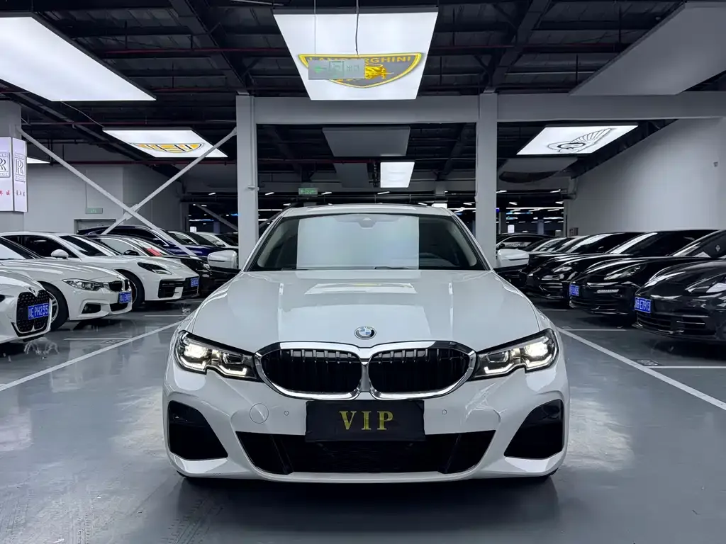 BMW 3 Series 2021 из CN, фото 7
