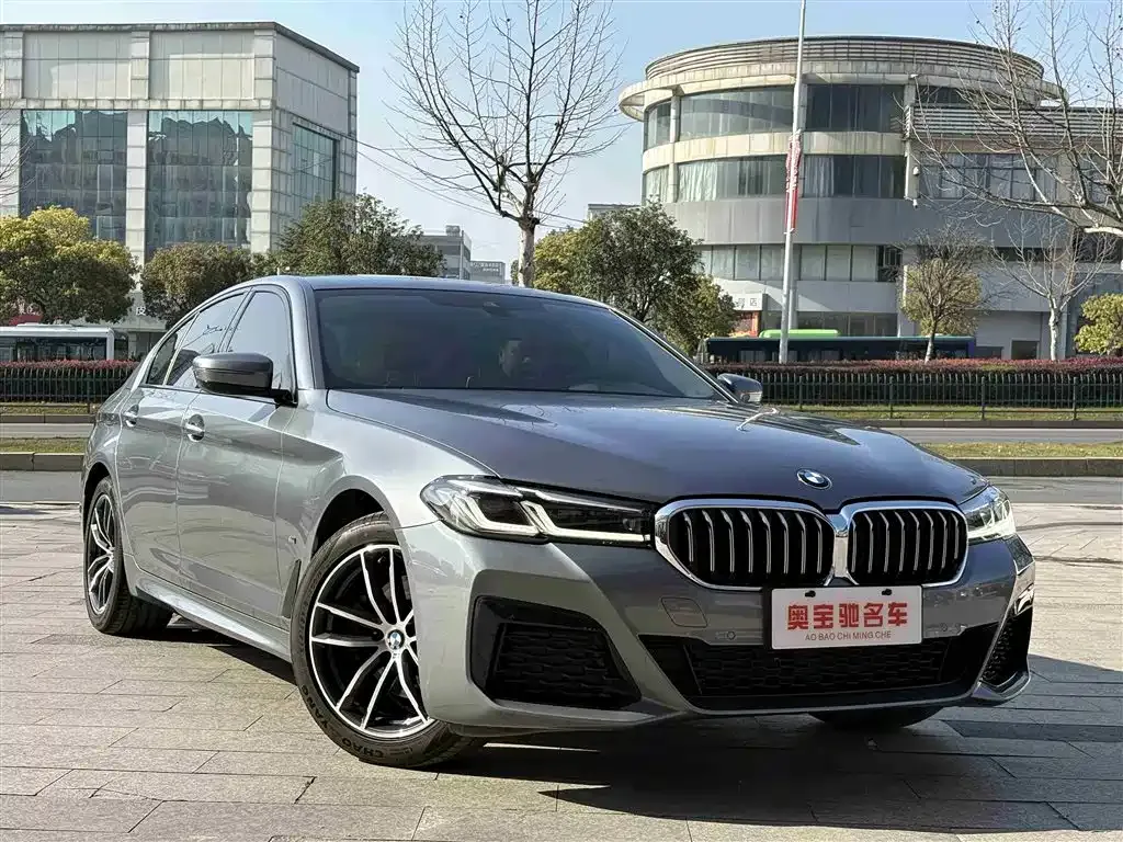 BMW 5 Series (Import) 2021 из CN, фото 10
