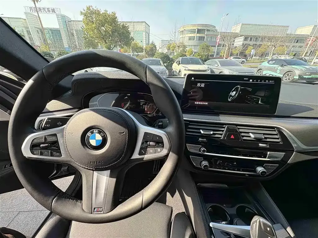 BMW 5 Series (Import) 2021 из CN, фото 4
