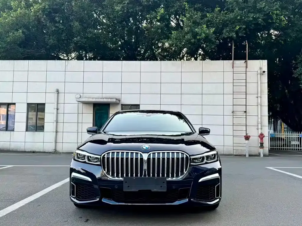 BMW 7 Series 2021 из CN, фото 2