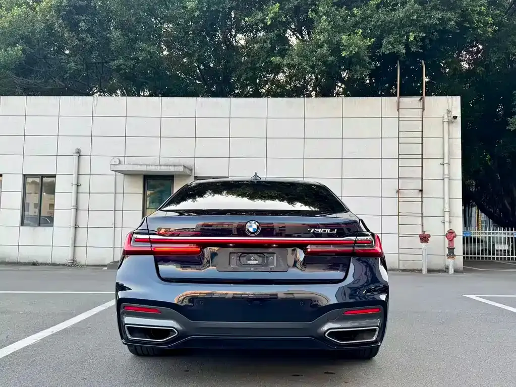 BMW 7 Series 2021 из CN, фото 9