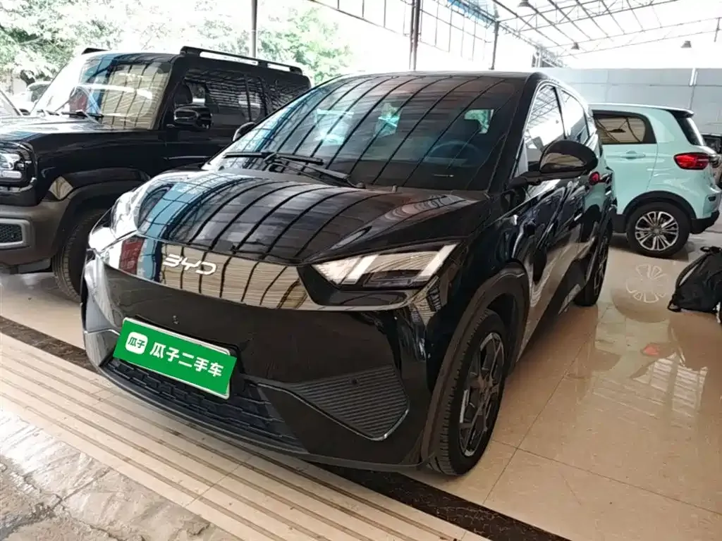 BYD Seagull