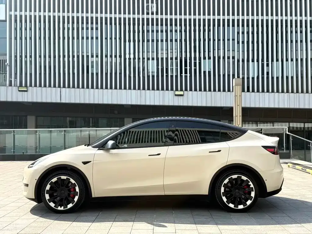 Tesla Model Y — фото 8