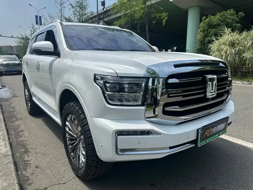 Tank 500 New Energy 2023 из CN, фото 6