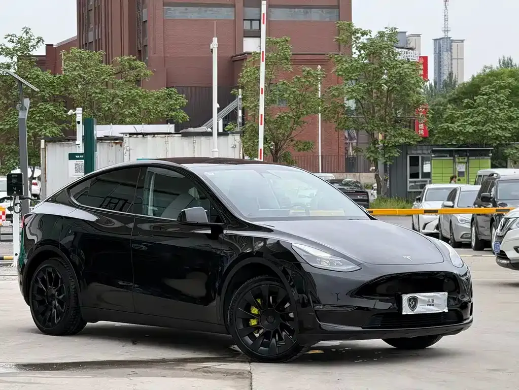 Tesla Model Y — фото 7