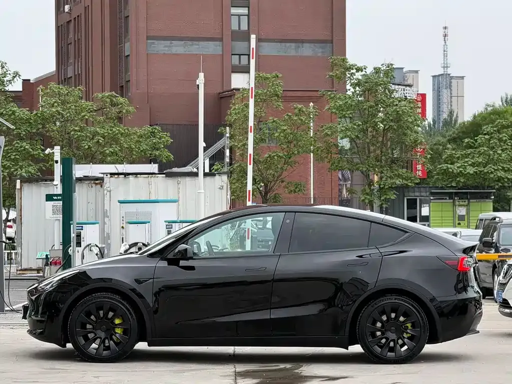 Tesla Model Y — фото 2