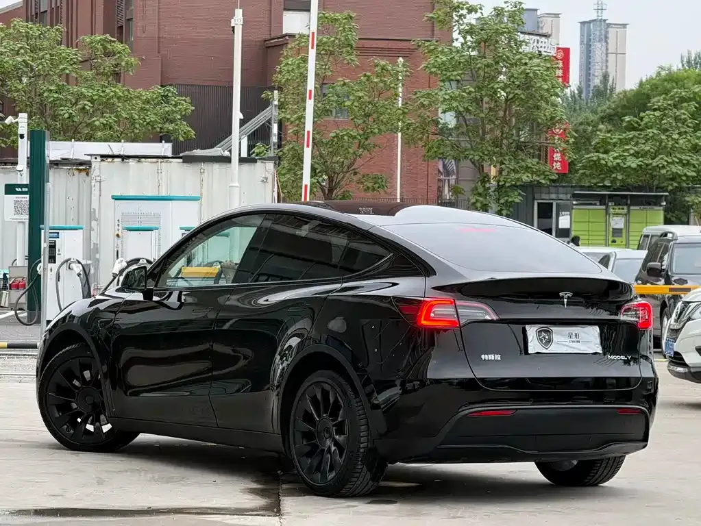 Tesla Model Y — фото 8