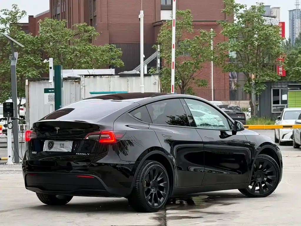 Tesla Model Y — фото 9