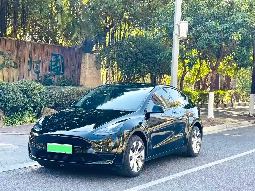 Tesla Model Y — фото 1