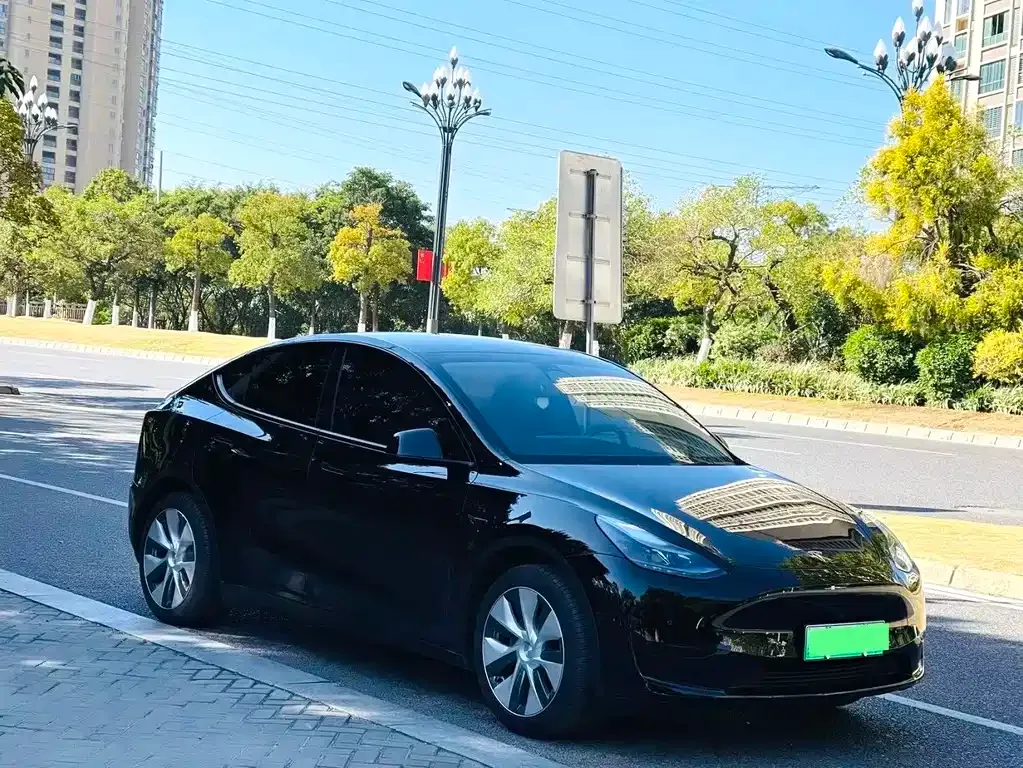 Tesla Model Y — фото 8