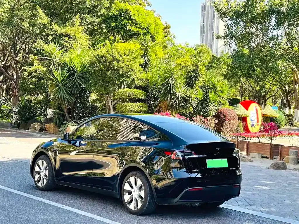 Tesla Model Y — фото 9