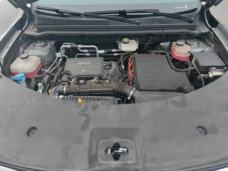 BYD Pro New Energy — фото 3