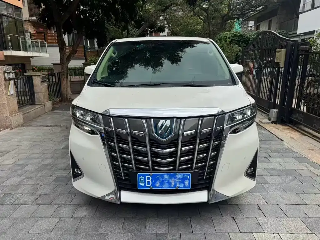 Toyota Alphard — фото 9