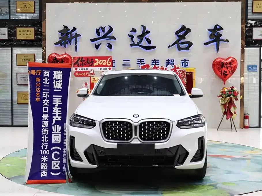 BMW X4 2023 из CN, фото 5