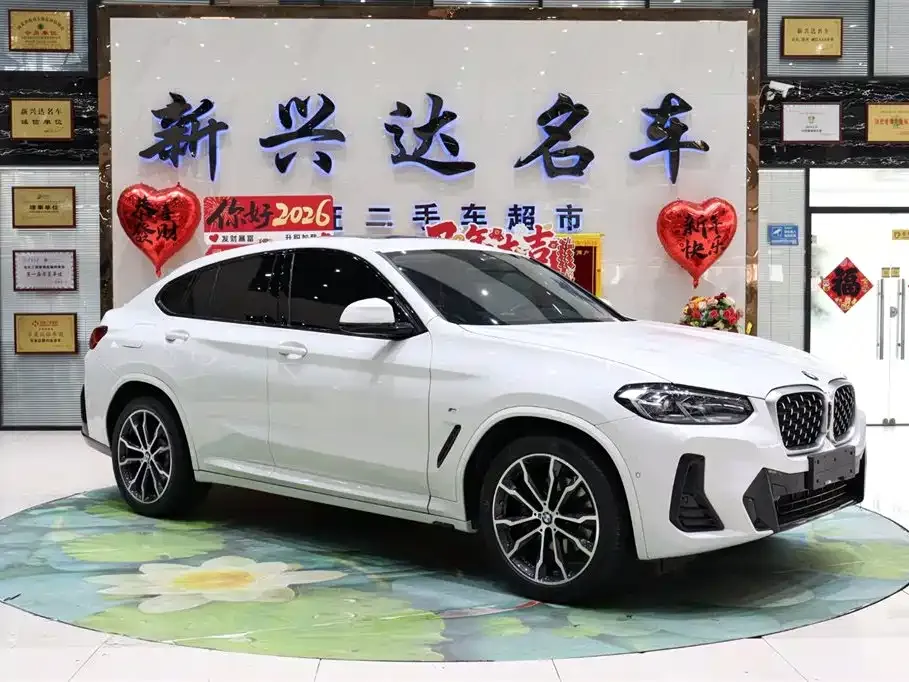 BMW X4 2023 из CN, фото 9