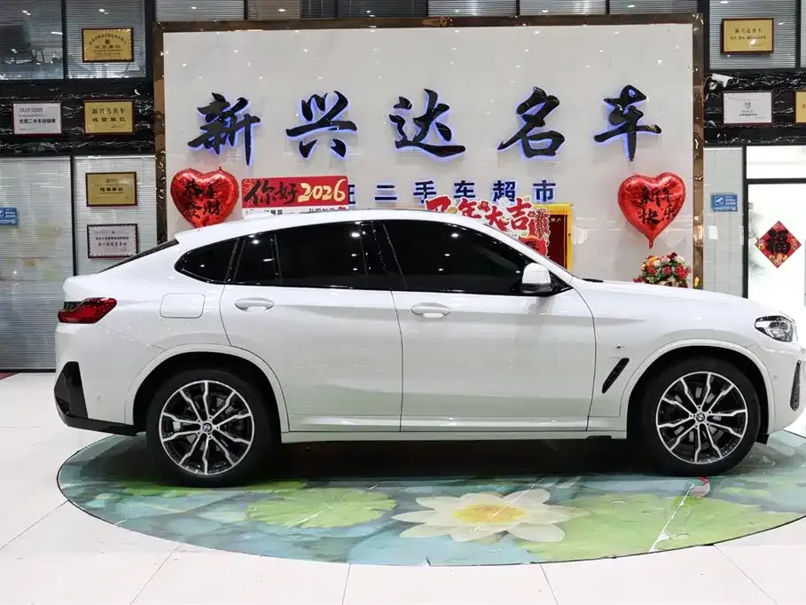 BMW X4 2023 из CN, фото 6