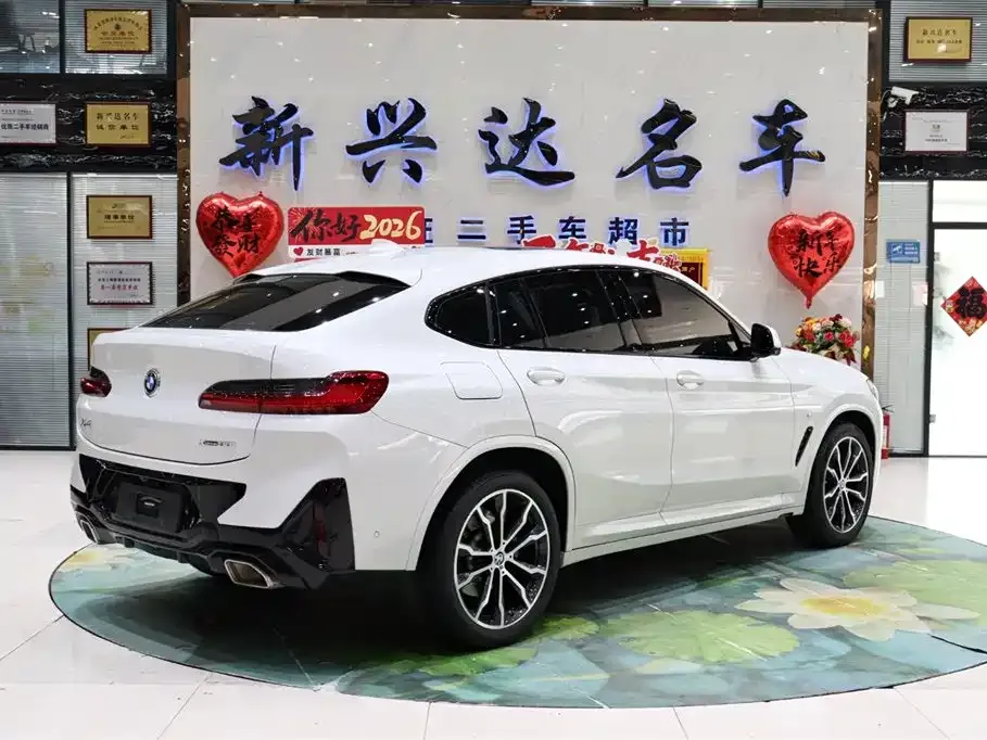 BMW X4 2023 из CN, фото 8