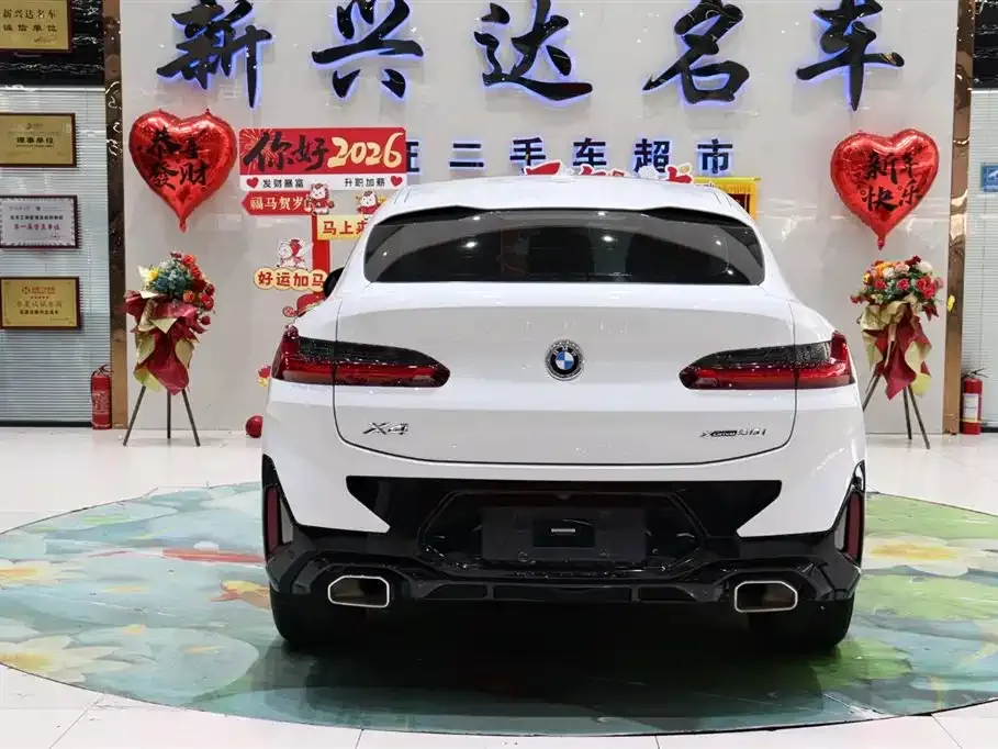 BMW X4 2023 из CN, фото 4