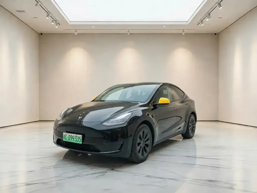 Tesla Model Y — фото 1