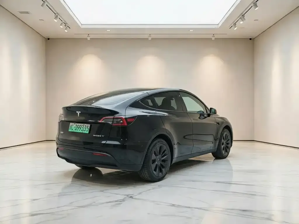 Tesla Model Y — фото 2