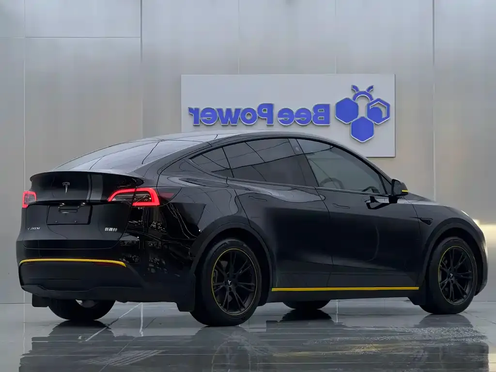 Tesla Model Y — фото 6