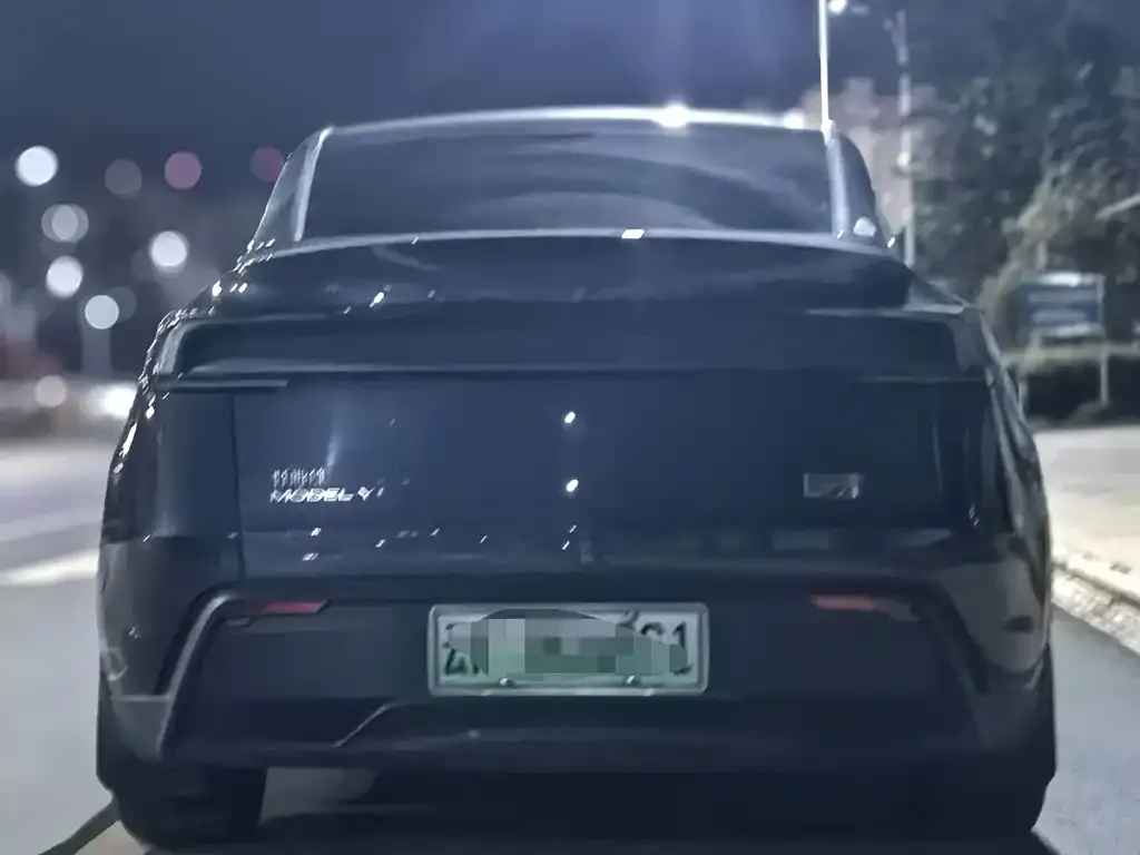 Tesla Model Y — фото 3