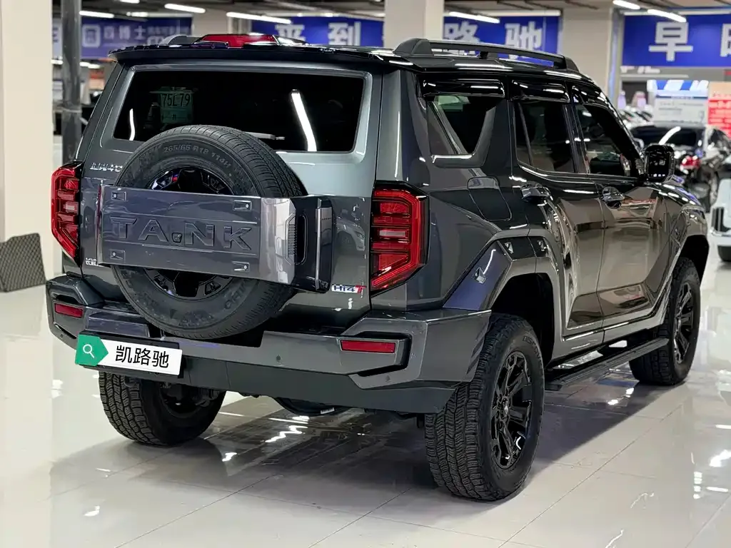Tank 400 New Energy 2024 из CN, фото 6