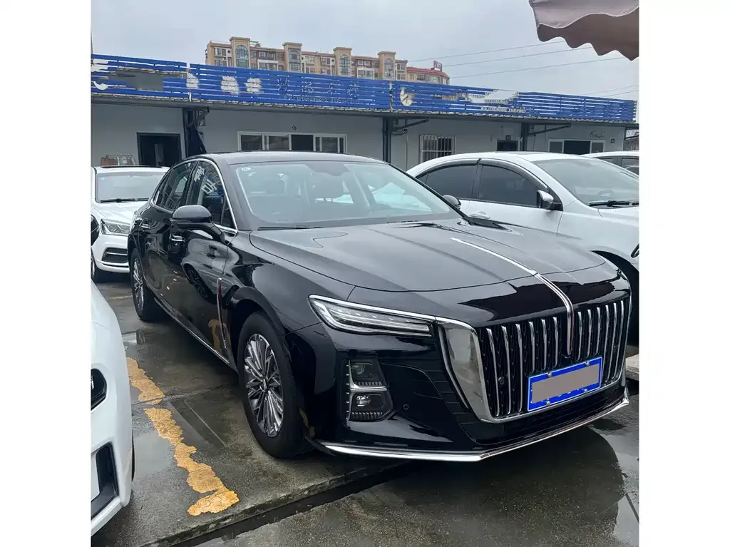 Hongqi H5 — фото 10