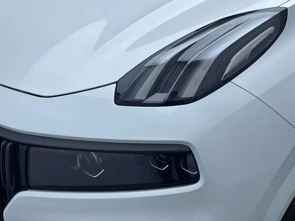 Lynk & Co 09 PHEV 2022 из CN, фото 4