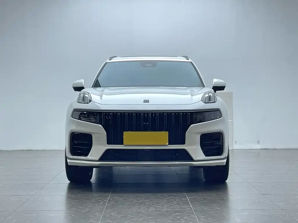 Lynk & Co 09 PHEV 2022 из CN, фото 2