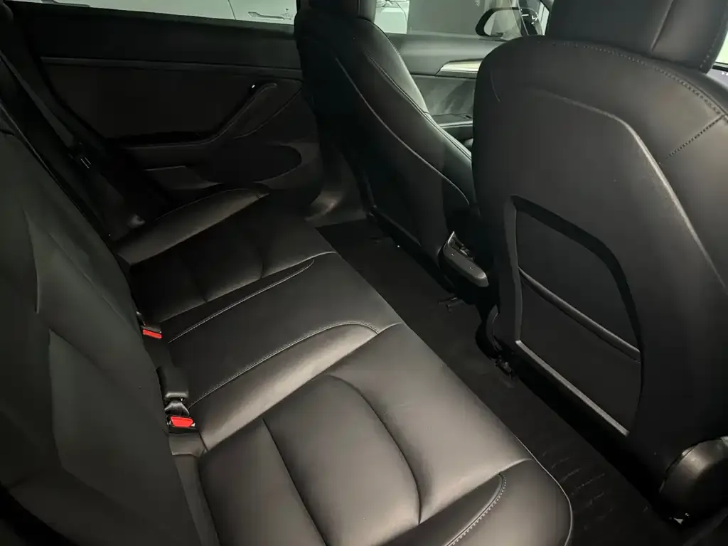 Tesla Model 3 2022 из CN, фото 3