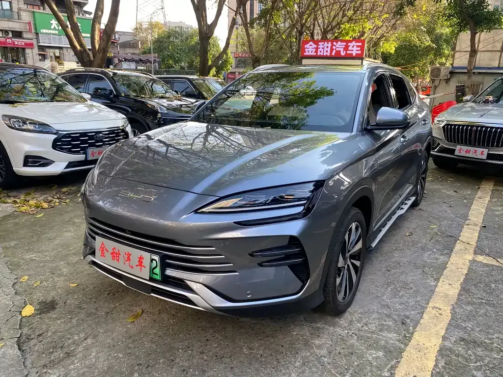 BYD PLUS New Energy — фото 1