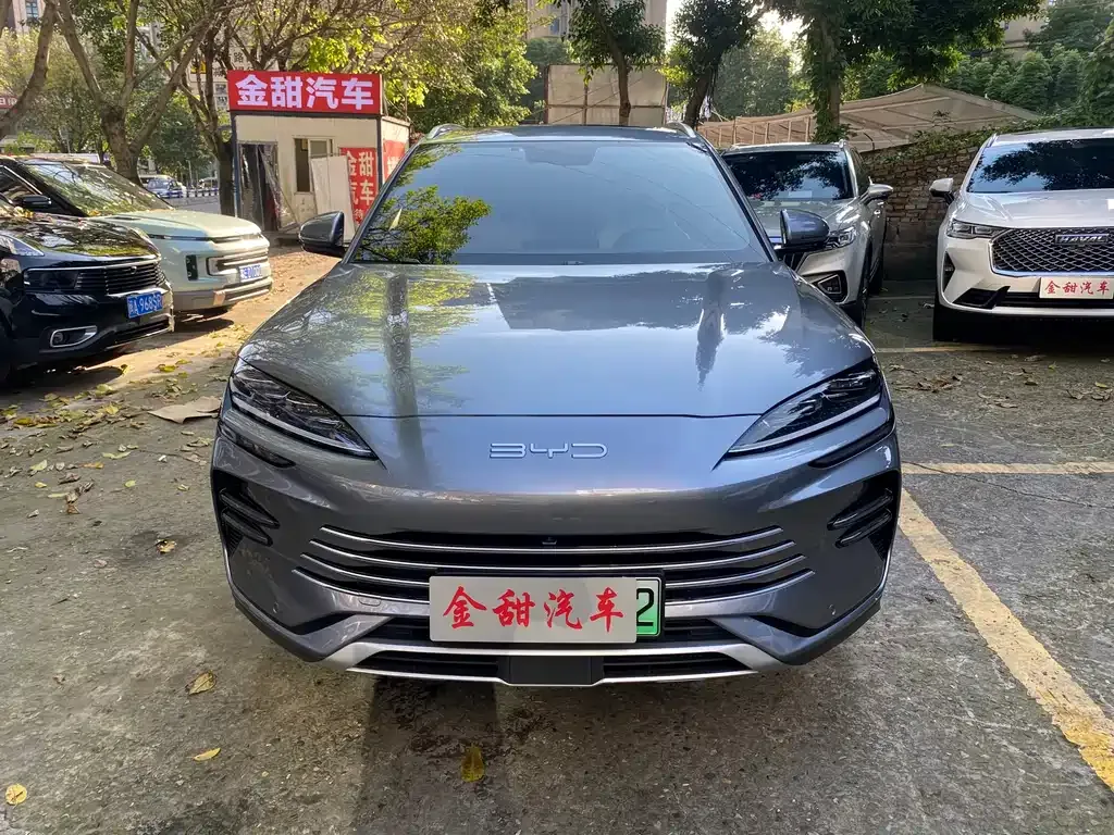 BYD PLUS New Energy — фото 4