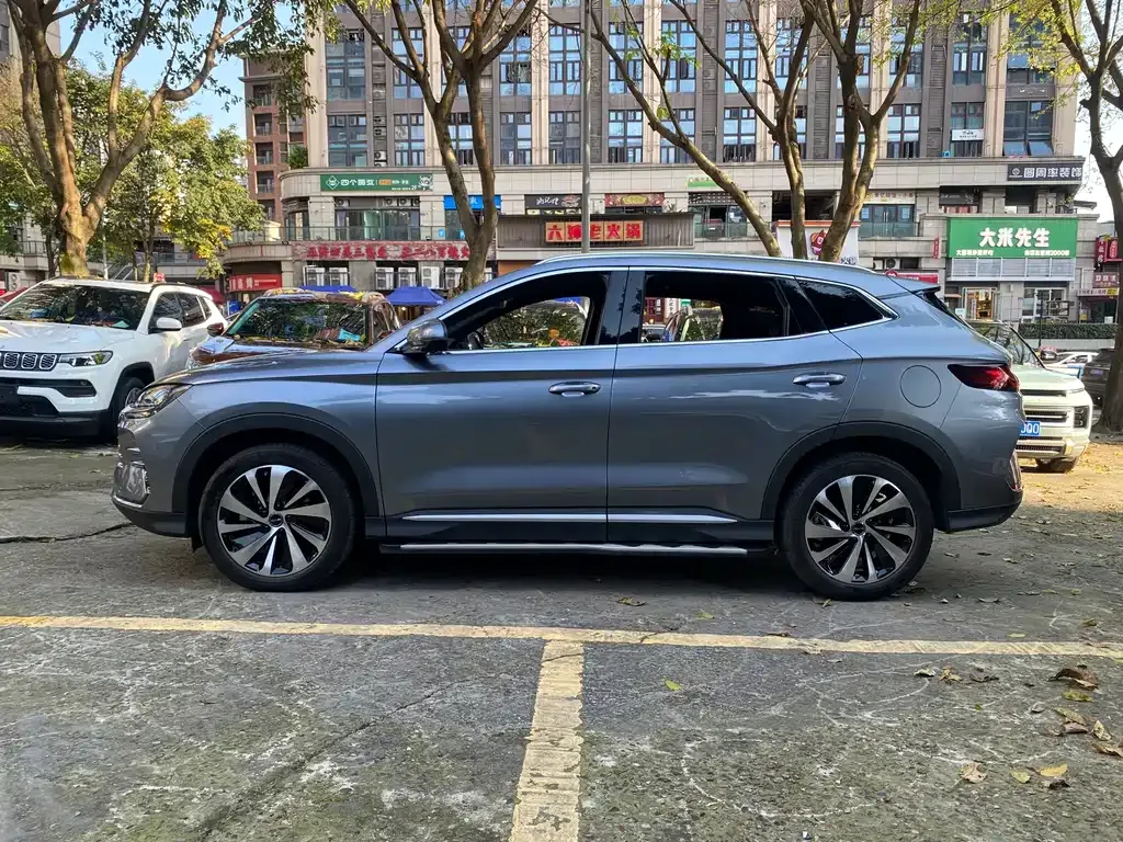 BYD PLUS New Energy — фото 6