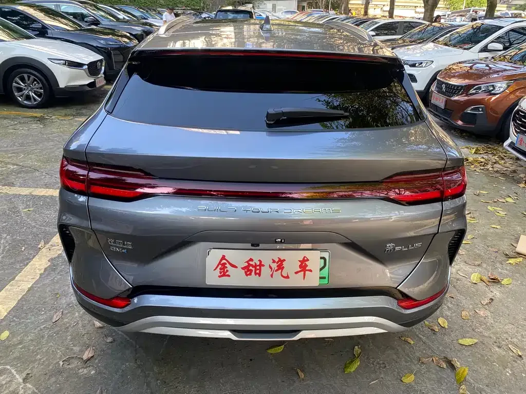 BYD PLUS New Energy — фото 7