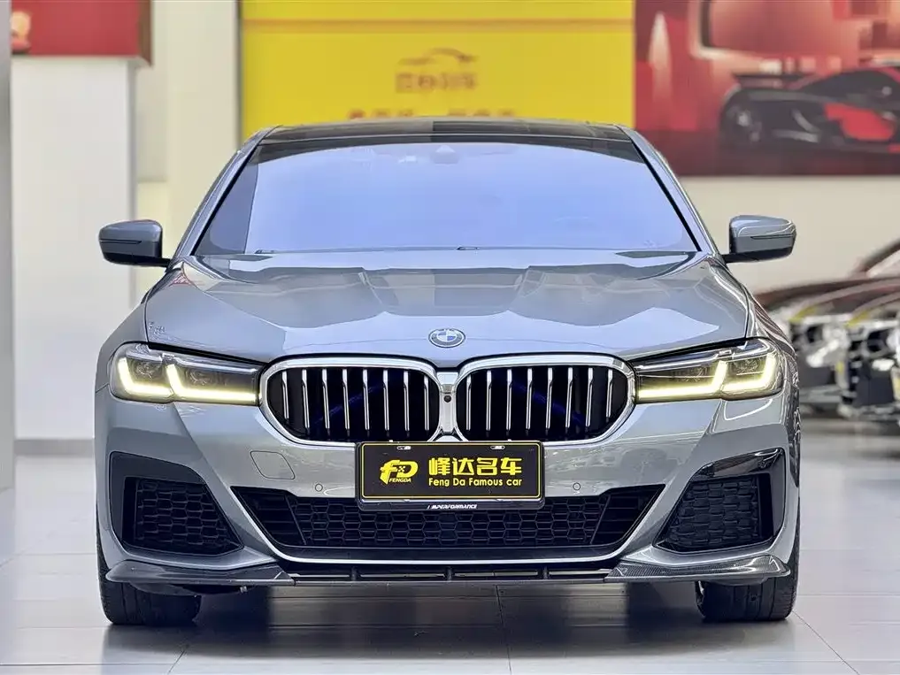 BMW 5 Series (Import) 2022 из CN, фото 5