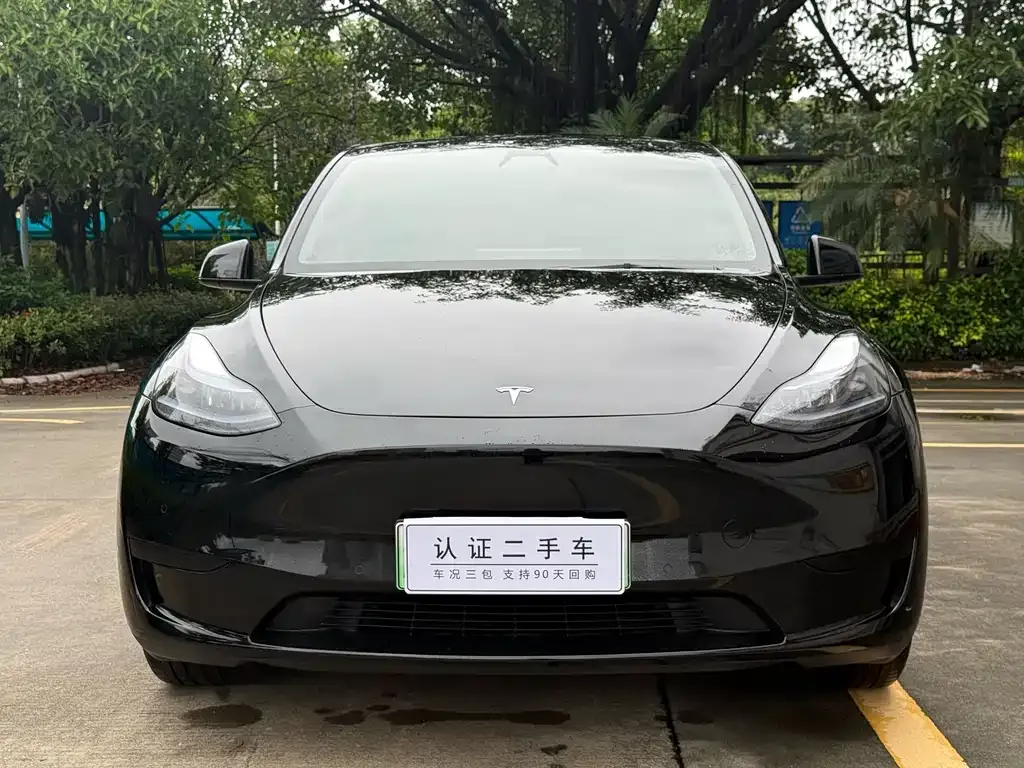 Tesla Model Y — фото 8