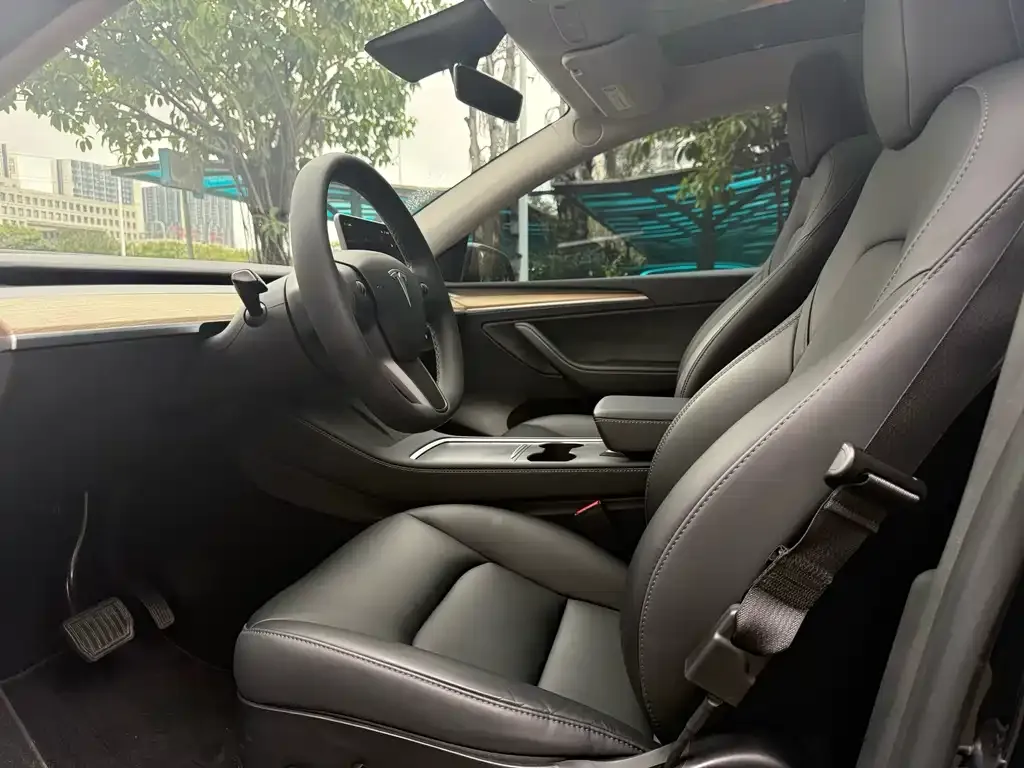 Tesla Model Y — фото 6