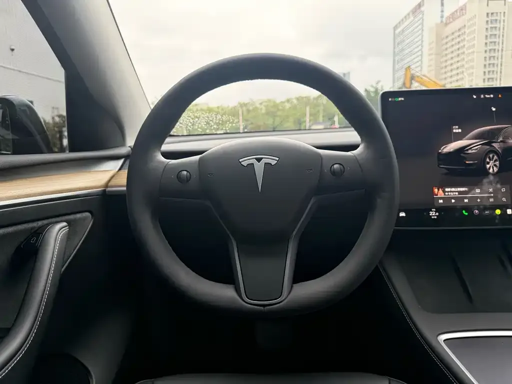 Tesla Model Y — фото 2