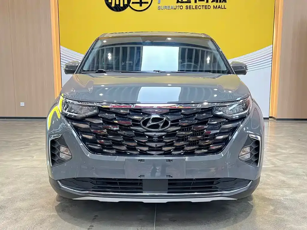 Hyundai Custo — фото 10