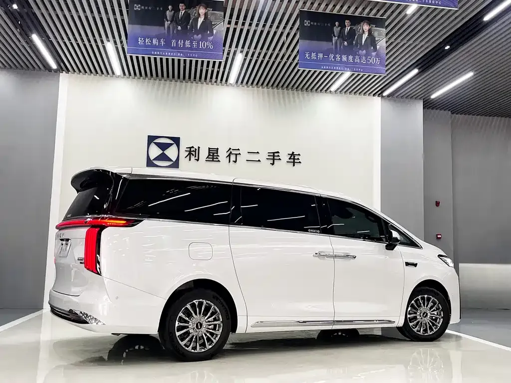 Wey Gaoshan 2025 из CN, фото 10
