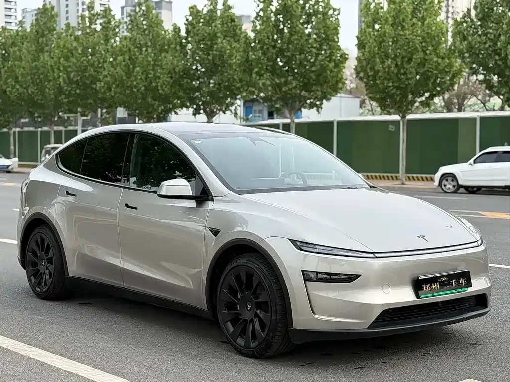 Tesla Model Y L 2025 из CN, фото 10