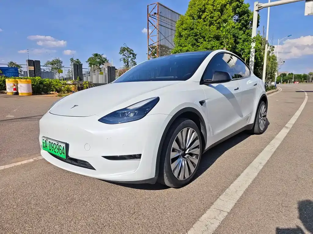 Tesla Model Y — фото 1
